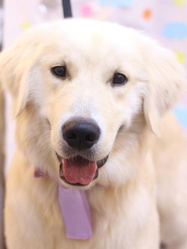 20240526レオくん